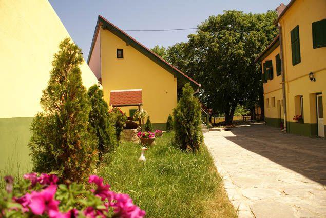 Cisnădie Pensiunea Sub Cetate المظهر الخارجي الصورة